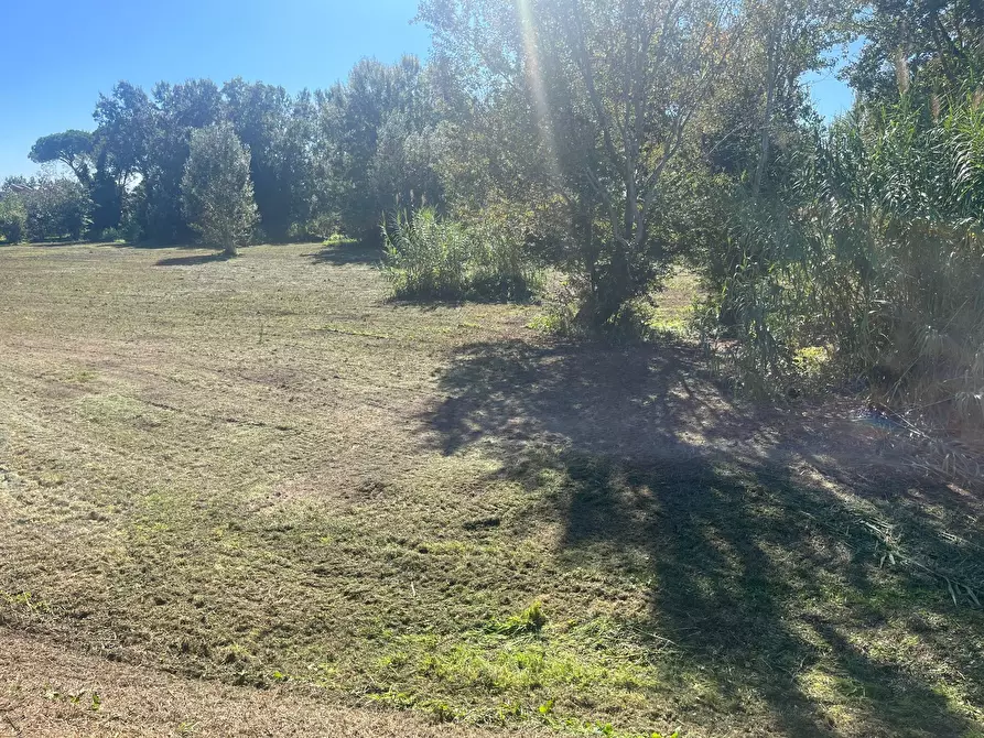 Immagine 2 di Terreno agricolo in vendita  in via provinciale vicarese 2 10 a Vicopisano