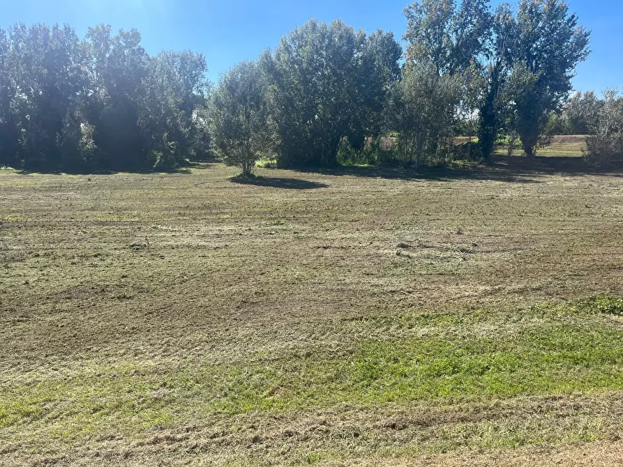 Immagine 3 di Terreno agricolo in vendita  in via provinciale vicarese 2 10 a Vicopisano