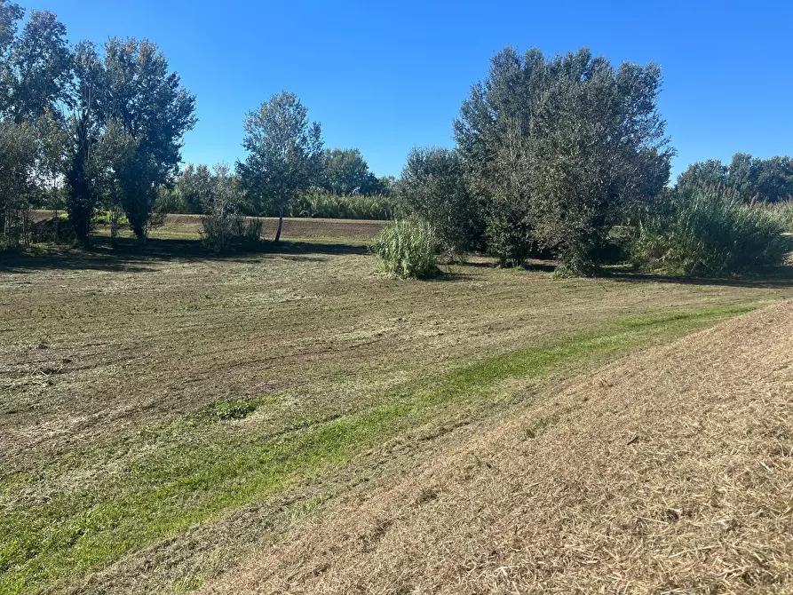 Immagine 4 di Terreno agricolo in vendita  in via provinciale vicarese 2 10 a Vicopisano