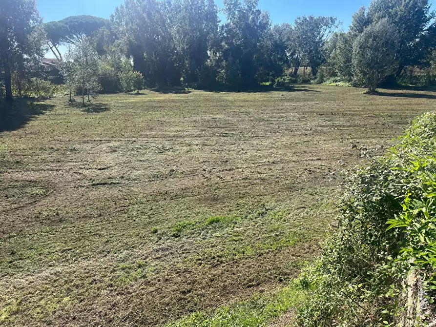 Immagine 5 di Terreno agricolo in vendita  in via provinciale vicarese 2 10 a Vicopisano