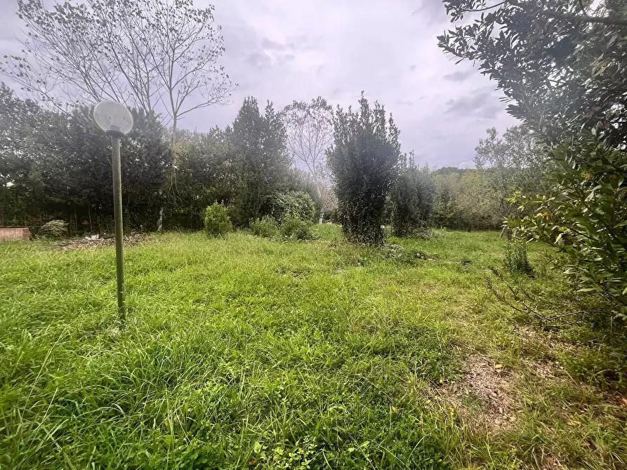 Immagine 4 di Terreno agricolo in vendita  in Via Della Casa Rossa 2 a Pisa