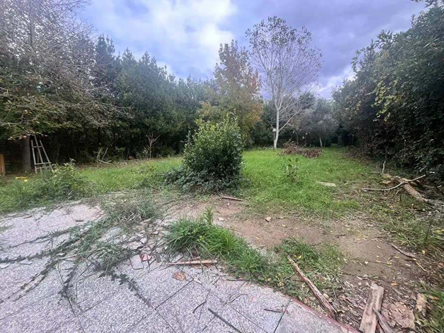 Immagine 6 di Terreno agricolo in vendita  in Via Della Casa Rossa 2 a Pisa