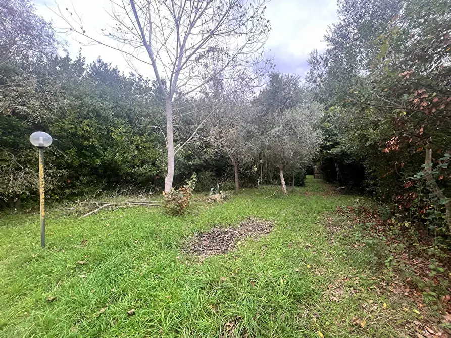 Immagine 7 di Terreno agricolo in vendita  in Via Della Casa Rossa 2 a Pisa