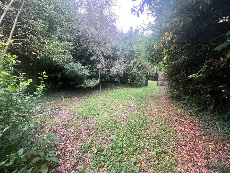 Immagine 13 di Terreno agricolo in vendita  in Via Della Casa Rossa 2 a Pisa