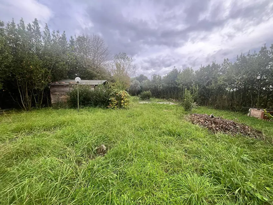 Immagine 15 di Terreno agricolo in vendita  in Via Della Casa Rossa 2 a Pisa