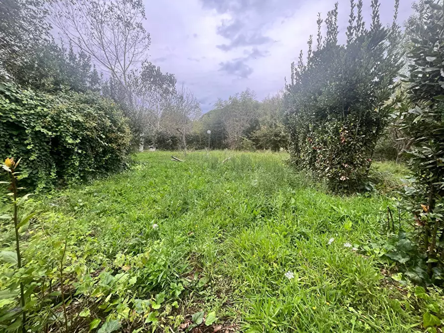 Immagine 16 di Terreno agricolo in vendita  in Via Della Casa Rossa 2 a Pisa