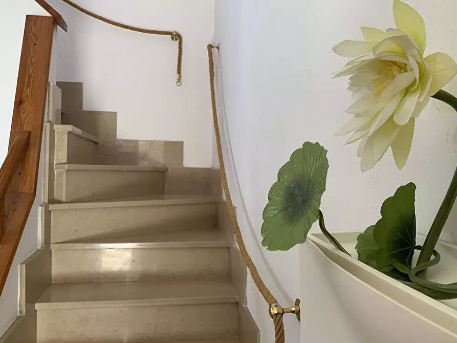 Immagine 24 di Casa indipendente in vendita  in via carlo goldoni 3 a Pescia