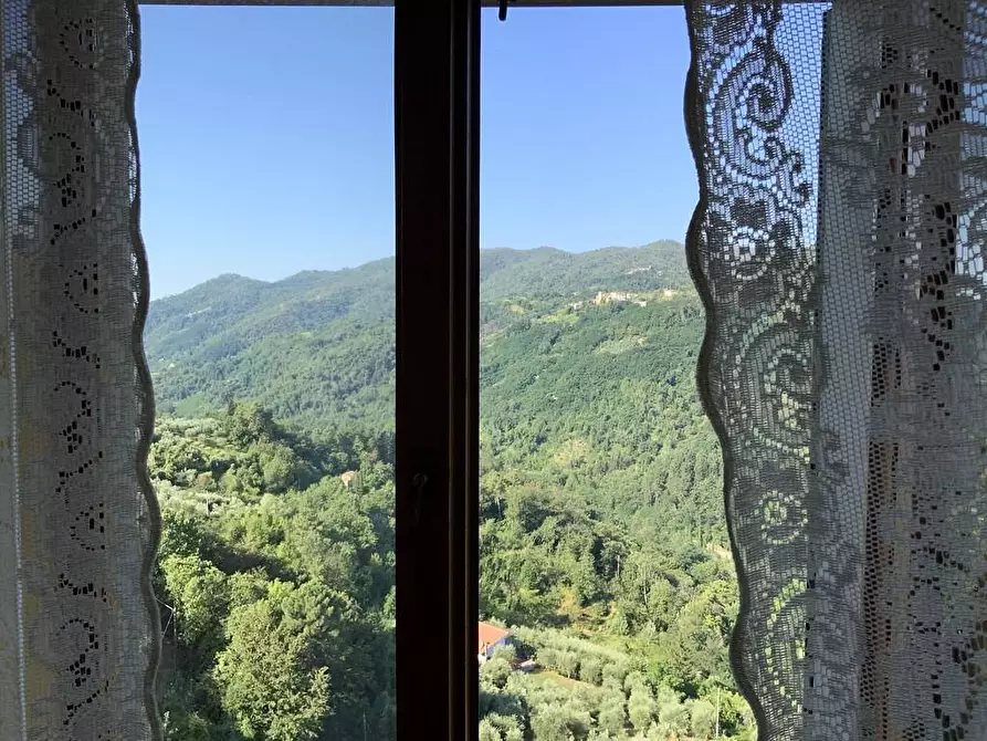 Immagine 8 di Casa indipendente in vendita  in via carlo goldoni 3 a Pescia