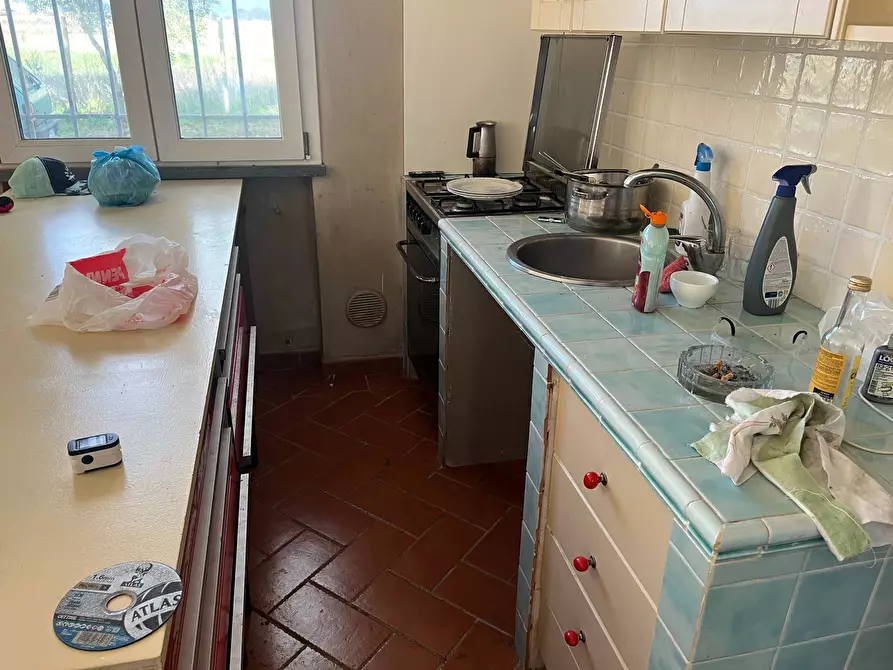 Immagine 3 di Casa indipendente in affitto  in Via delle Rene Coltano Pisa 20 a Pisa