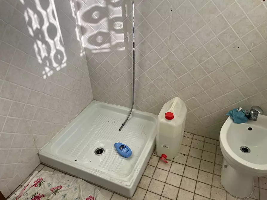 Immagine 4 di Casa indipendente in affitto  in Via delle Rene Coltano Pisa 20 a Pisa