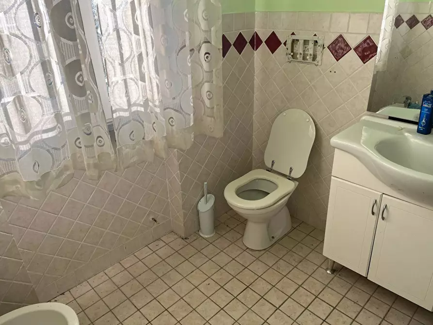 Immagine 5 di Casa indipendente in affitto  in Via delle Rene Coltano Pisa 20 a Pisa