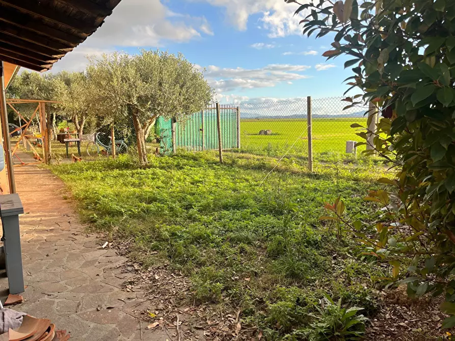 Immagine 11 di Casa indipendente in affitto  in Via delle Rene Coltano Pisa 20 a Pisa