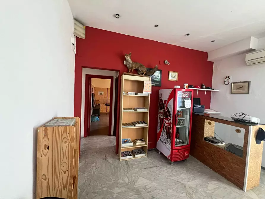 Immagine 3 di Attività commerciale in affitto  in strada provinciale vicarese 1 a Vicopisano