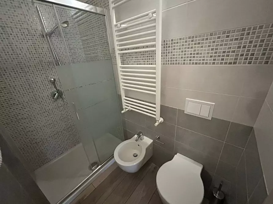 Immagine 24 di Camera in affitto  in Via Luigi Bianchi 1 a Pisa