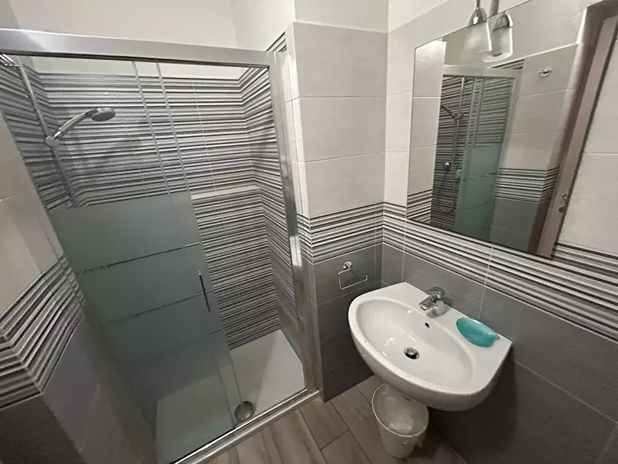 Immagine 37 di Camera in affitto  in Via Luigi Bianchi 1 a Pisa