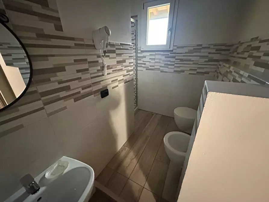 Immagine 38 di Camera in affitto  in Via Luigi Bianchi 1 a Pisa