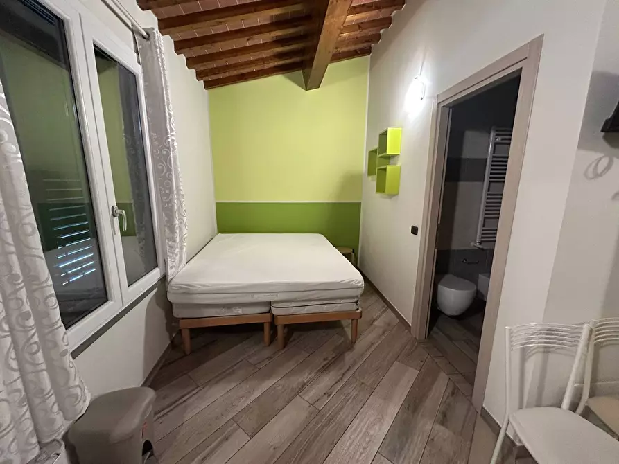 Immagine 41 di Camera in affitto  in Via Luigi Bianchi 1 a Pisa