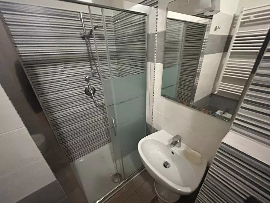 Immagine 42 di Camera in affitto  in Via Luigi Bianchi 1 a Pisa