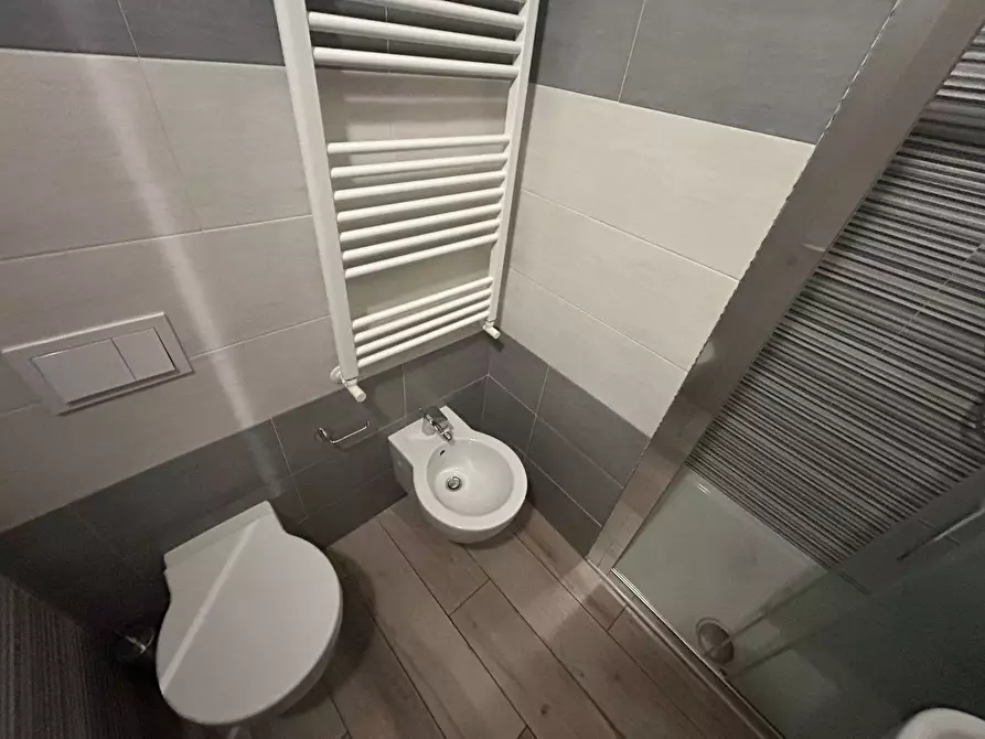 Immagine 44 di Camera in affitto  in Via Luigi Bianchi 1 a Pisa