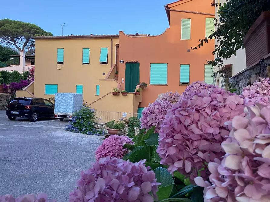 Immagine 11 di Appartamento in affitto  in via del cotone 40 a Marciana Marina