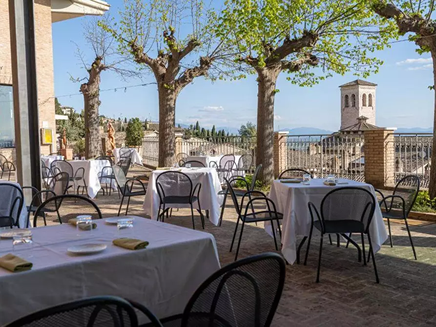 Immagine 2 di Attività commerciale in vendita  in Via Cardinale Pietro Maffi 100 a Pisa