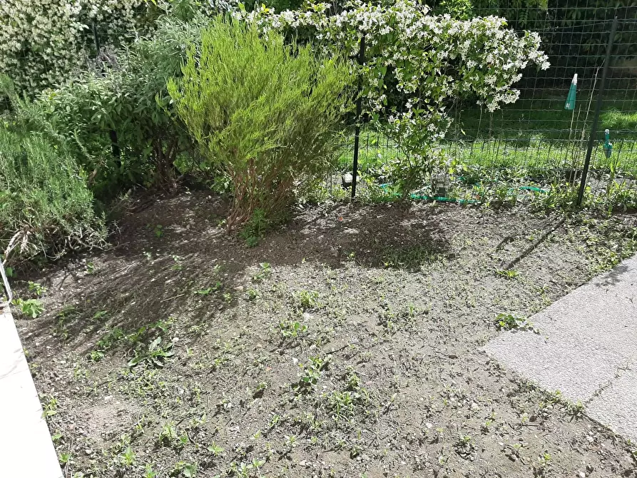 Immagine 12 di Casa indipendente in affitto  in Via Del Borghetto 12 a Pisa