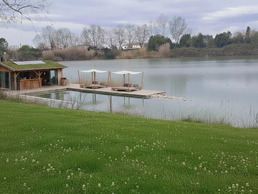 Immagine 5 di Attività commerciale in affitto  in via arnaccio 15 a Cascina