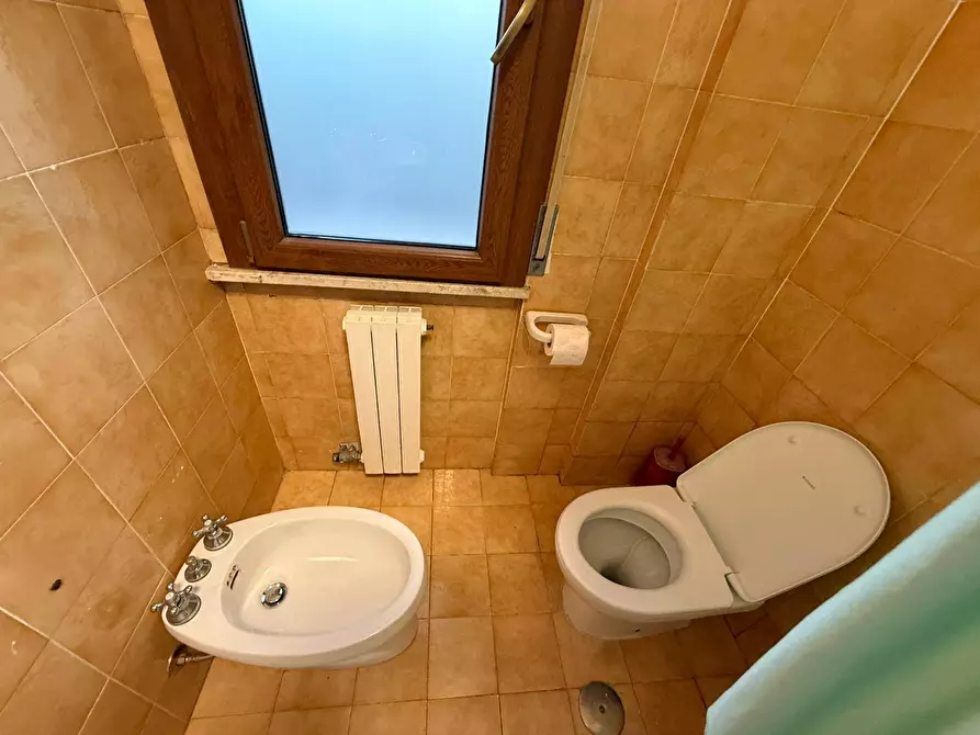 Immagine 14 di Camera in affitto  in Via Calabria 1 a Pisa