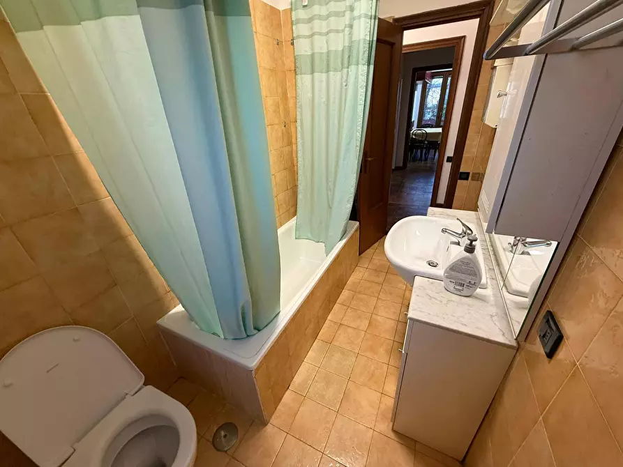 Immagine 16 di Camera in affitto  in Via Calabria 1 a Pisa