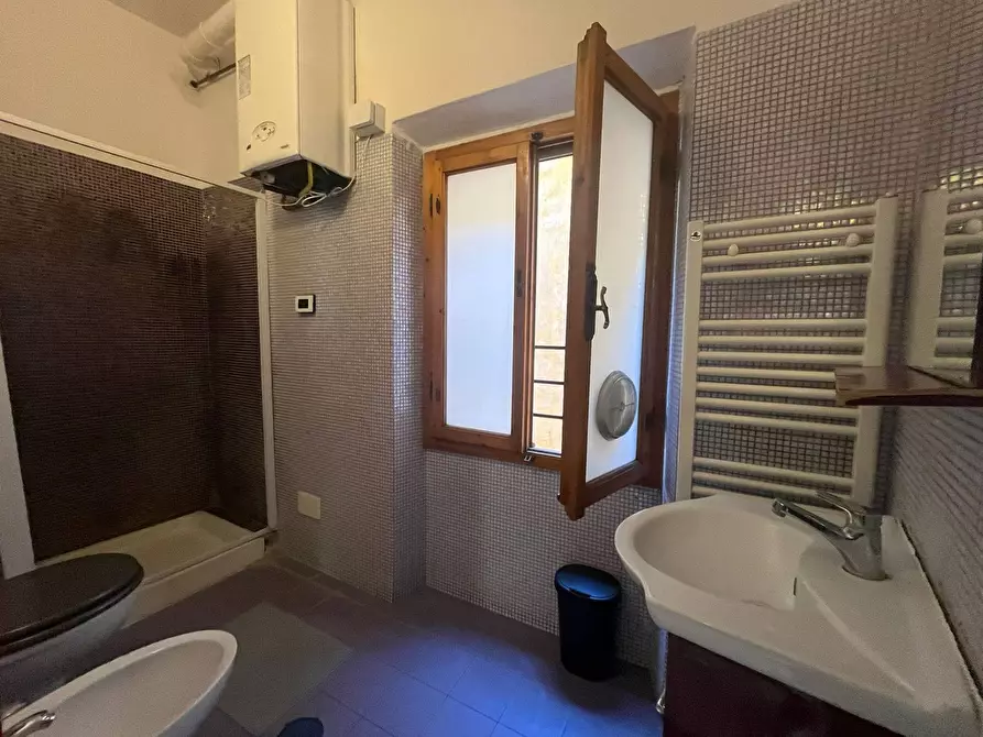 Immagine 3 di Camera in affitto  in Via Borgo Stretto 1 a Pisa