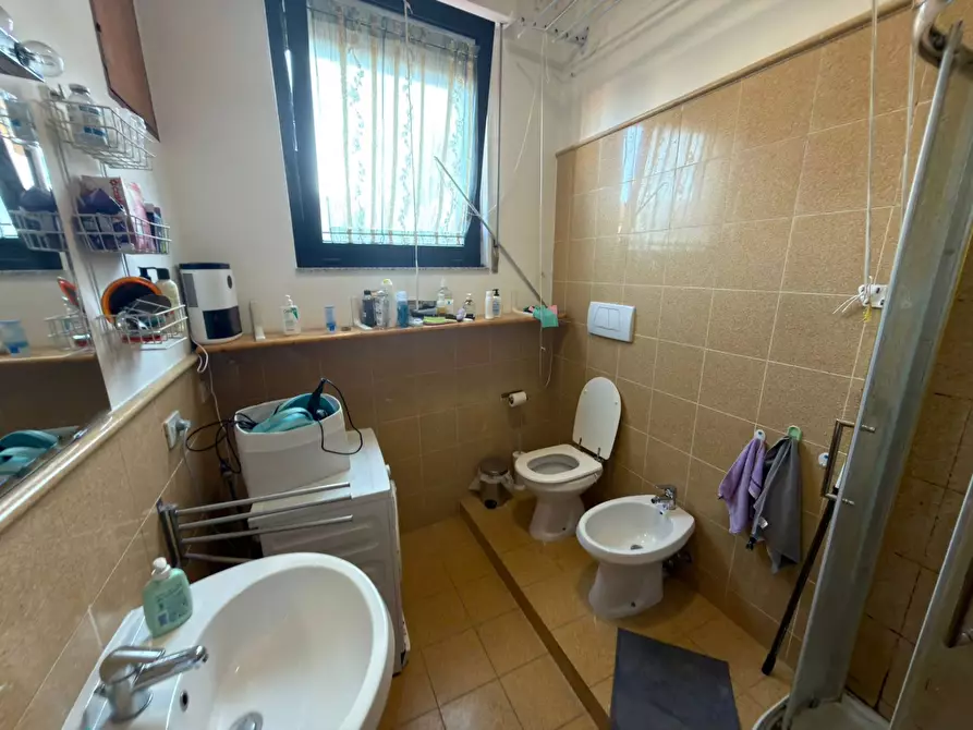 Immagine 9 di Camera in affitto  in Via san martino 95 a Pisa