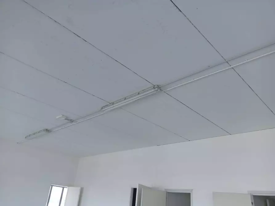 Immagine 11 di Attività commerciale in affitto  in via tegulaia a Pisa