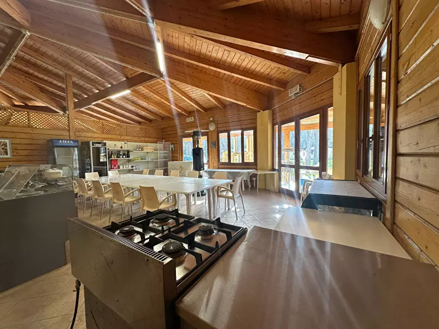 Immagine 5 di Attività commerciale in affitto  in via paolo savi 105 a Viareggio