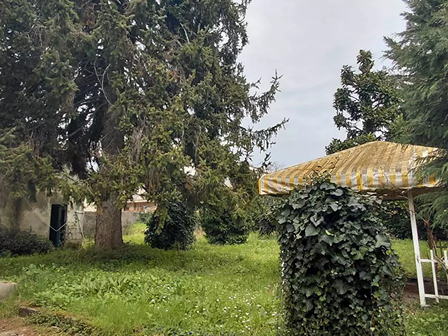 Immagine 17 di Villetta a schiera in vendita  in via del brennero 316 a Lucca