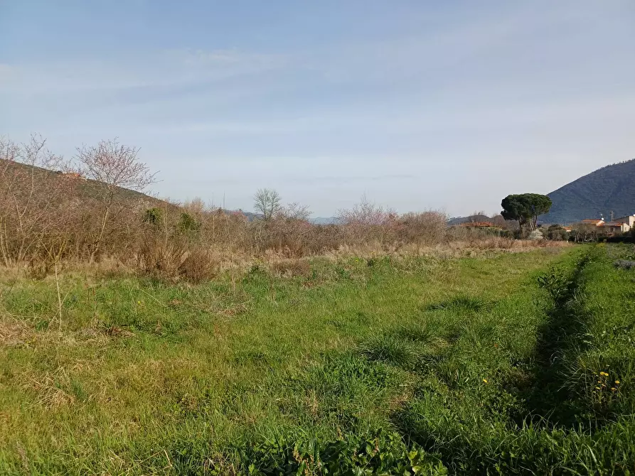 Immagine 1 di Terreno agricolo in vendita  in via giuseppe verdi - a Vecchiano