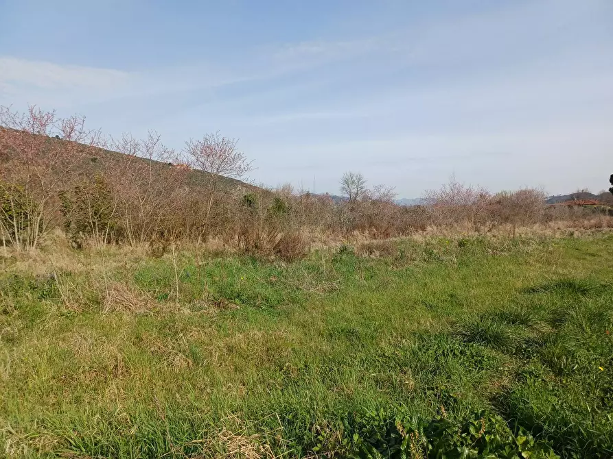 Immagine 2 di Terreno agricolo in vendita  in via giuseppe verdi - a Vecchiano