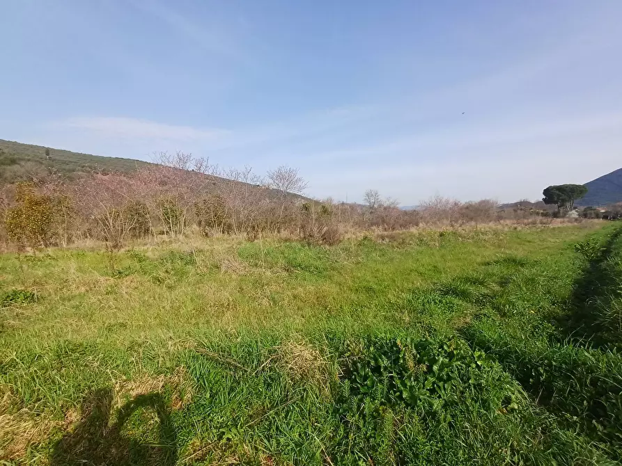 Immagine 6 di Terreno agricolo in vendita  in via giuseppe verdi - a Vecchiano