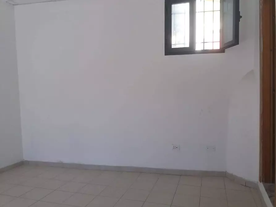 Immagine 11 di Attività commerciale in affitto  in Viale Delle Cascine 1 a Pisa