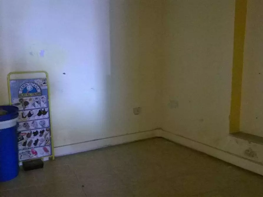 Immagine 21 di Attività commerciale in affitto  in Viale Delle Cascine 1 a Pisa