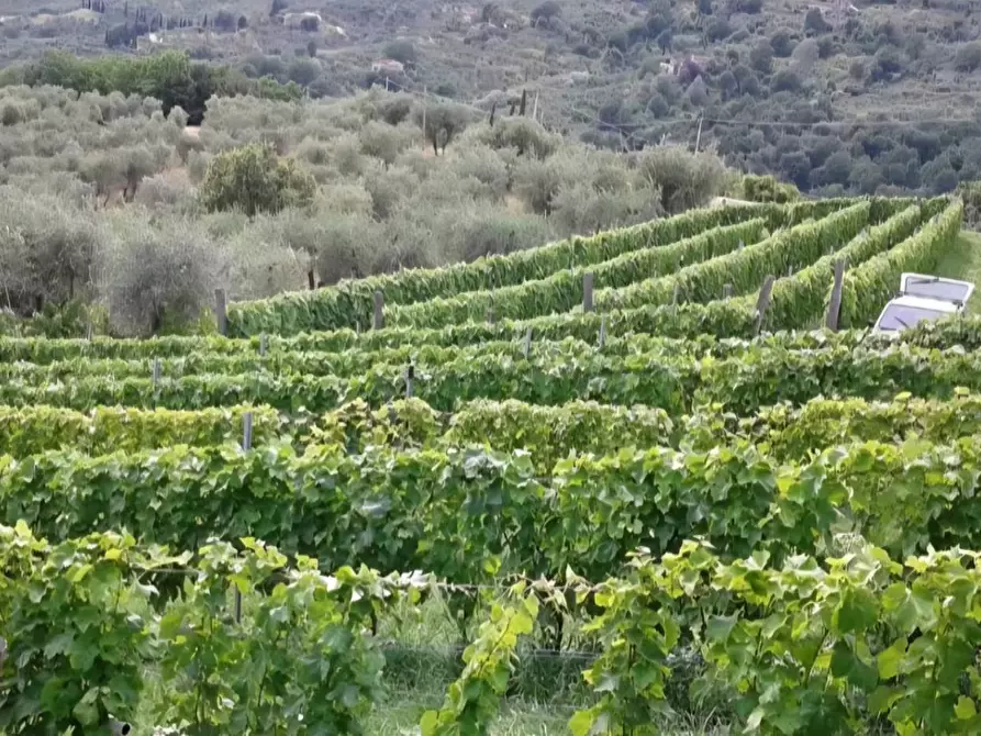 terreno agricolo in vendita a Capannori in zona Marlia