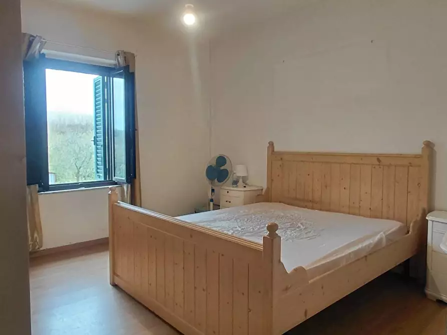 Immagine 8 di Casa indipendente in affitto  in via della pace 33 a Montecarlo