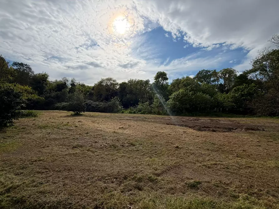 Immagine 16 di Casa indipendente in affitto  in Via Del Viadotto 2 a Pisa