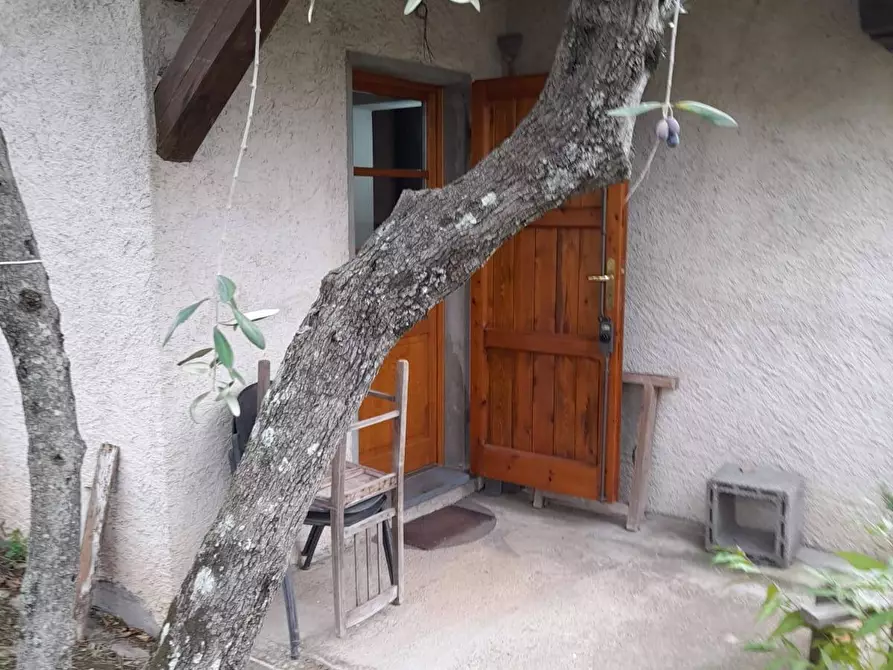 Immagine 4 di Terreno agricolo in vendita  in via REBUTTO 13 a Pietrasanta