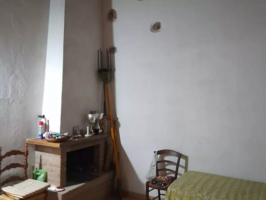 Immagine 6 di Terreno agricolo in vendita  in via REBUTTO 13 a Pietrasanta