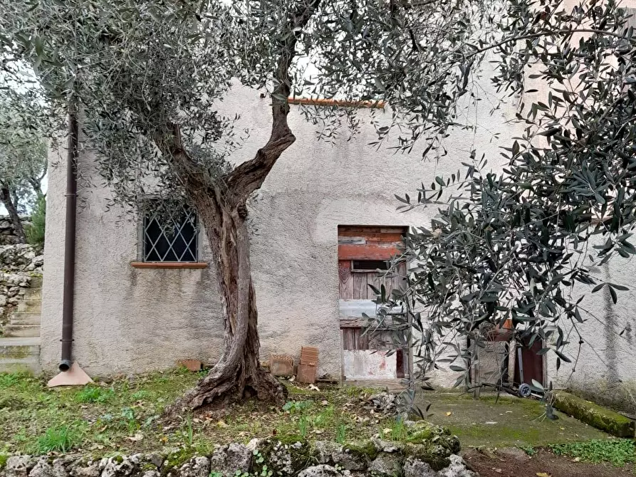 Immagine 7 di Terreno agricolo in vendita  in via REBUTTO 13 a Pietrasanta