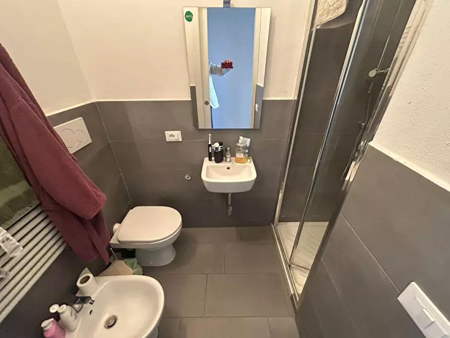 Immagine 9 di Camera in affitto  in Lungarno Mediceo 1 a Pisa