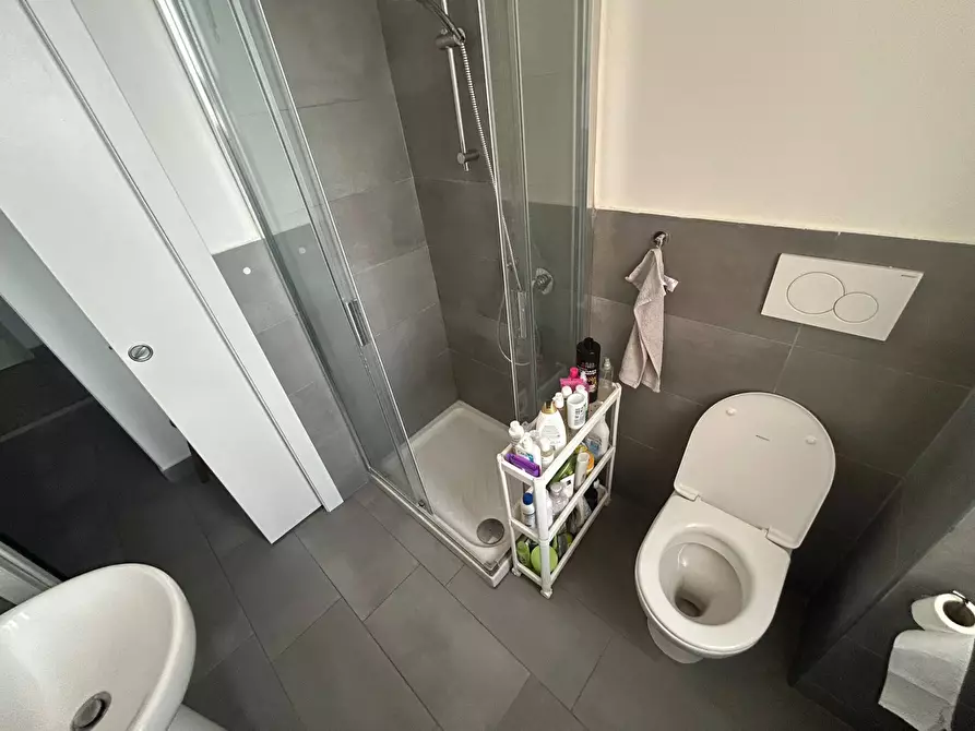 Immagine 11 di Camera in affitto  in Lungarno Mediceo 1 a Pisa