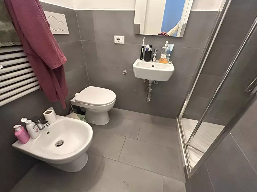 Immagine 10 di Camera in affitto  in Lungarno Mediceo 1 a Pisa