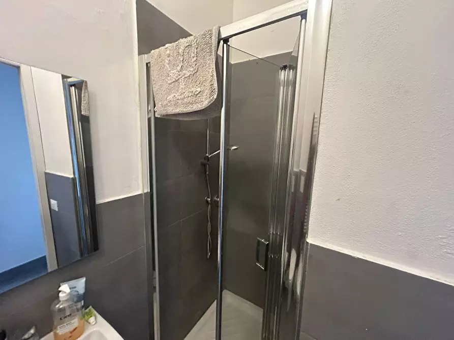 Immagine 13 di Camera in affitto  in Lungarno Mediceo 1 a Pisa