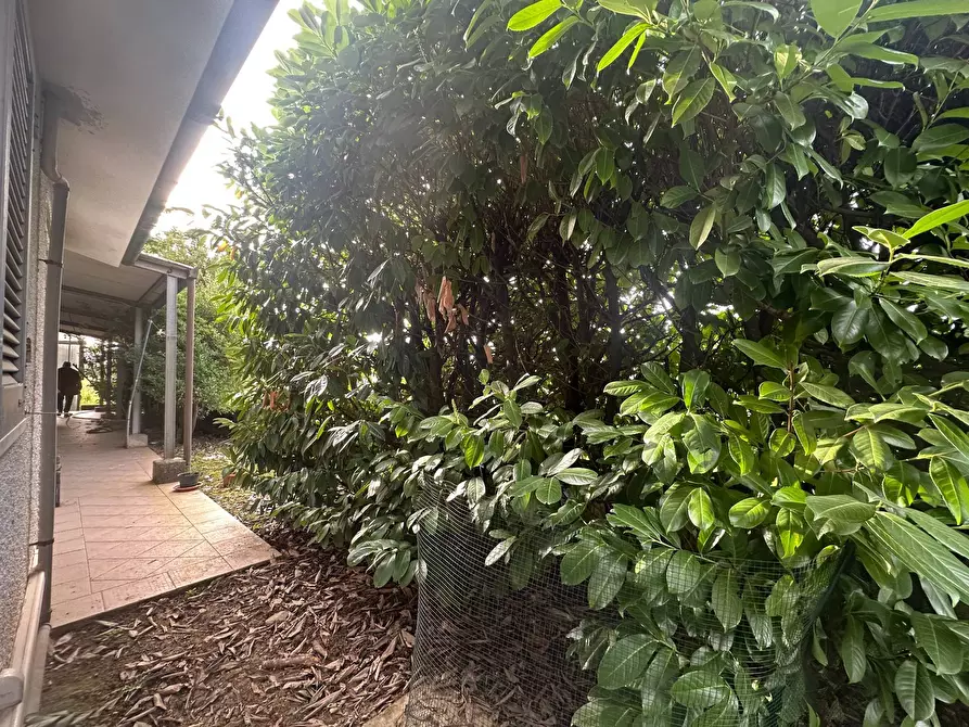 Immagine 23 di Casa indipendente in vendita  in via fillungo 8 a Camaiore